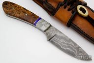 Meteorite Drop Point Hunter