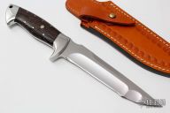 Migraine Nightmare Wolfram Tanto