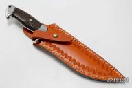 Migraine Nightmare Wolfram Tanto