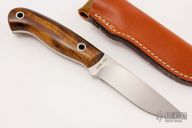 Model 110 - Desert Ironwood