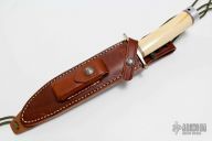 Model 1-7 - Fossil Walrus Ivory