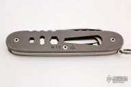 Modified Pioneer with Titanium rear scale