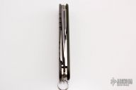 Modified Pioneer with Titanium rear scale