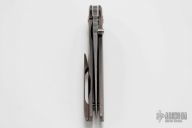 Myrmidon Variant with Copper Collars