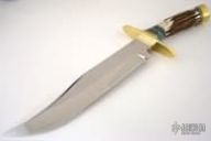 Bowie - Sambar Stag & Spalted Maple