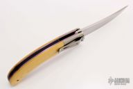 Persian Flipper - #1