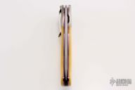 Persian Flipper - #1