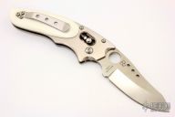 Phoenix - Howard Viele Design