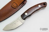 Pinnacle I - Desert Ironwood