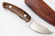 Pinnacle I - Desert Ironwood