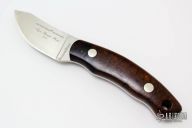 Pinnacle I - Desert Ironwood