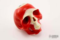 Pool Ball Carved Skull