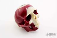 Pool Ball Carved Skull
