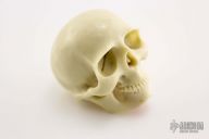 Pool Ball Carved Skull