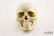 Pool Ball Carved Skull