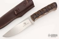 Predator - Croc - Crocodile