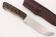 Predator - Croc - Crocodile