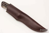 Predator - Croc - Crocodile