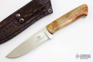 Predator - Croc - Spalted Maple