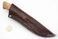 Predator - Croc - Spalted Maple