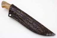 Predator - Croc - Spalted Maple