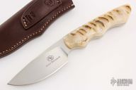 Predator - Great White - Sheep Horn