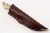 Predator - Great White - Sheep Horn