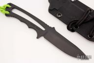 Professional Soldier