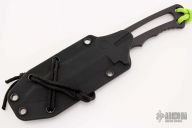 Professional Soldier