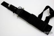 Raven - Vanguard #06