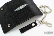 Rayskin Wallet - optional chain