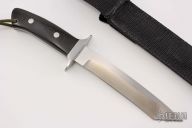 Recurve Tanto