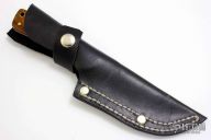 Rocky Mountain Skinner