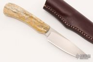 Scavenger - Jackal - Giraffe Bone