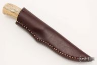 Scavenger - Jackal - Giraffe Bone