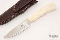 Scavenger - Jackal - Warthog Tusk