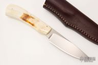 Scavenger - Jackal - Warthog Tusk