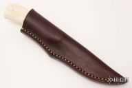 Scavenger - Jackal - Warthog Tusk