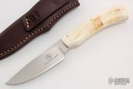 Scavenger - Jackal - Warthog Tusk