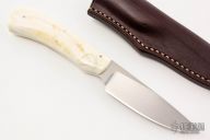 Scavenger - Jackal - Warthog Tusk