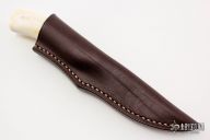 Scavenger - Jackal - Warthog Tusk