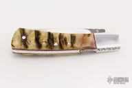 Sheep Horn Lockback