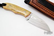 Sheepsfoot - Damasteel and Bone