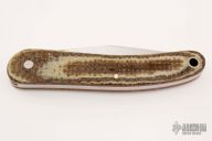 Single Blade Slipjoint