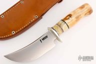 Skinner - Walrus and Musk Ox