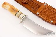 Skinner - Walrus and Musk Ox