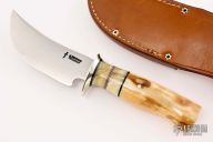 Skinner - Walrus and Musk Ox