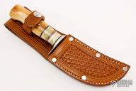 Skinner - Walrus and Musk Ox