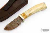 Skinner - Walrus Jaw