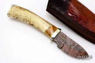 Skinner - Walrus Jaw